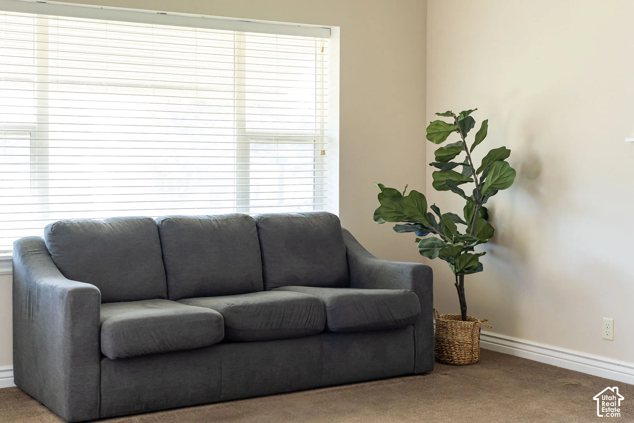 Large window with horizontal blinds