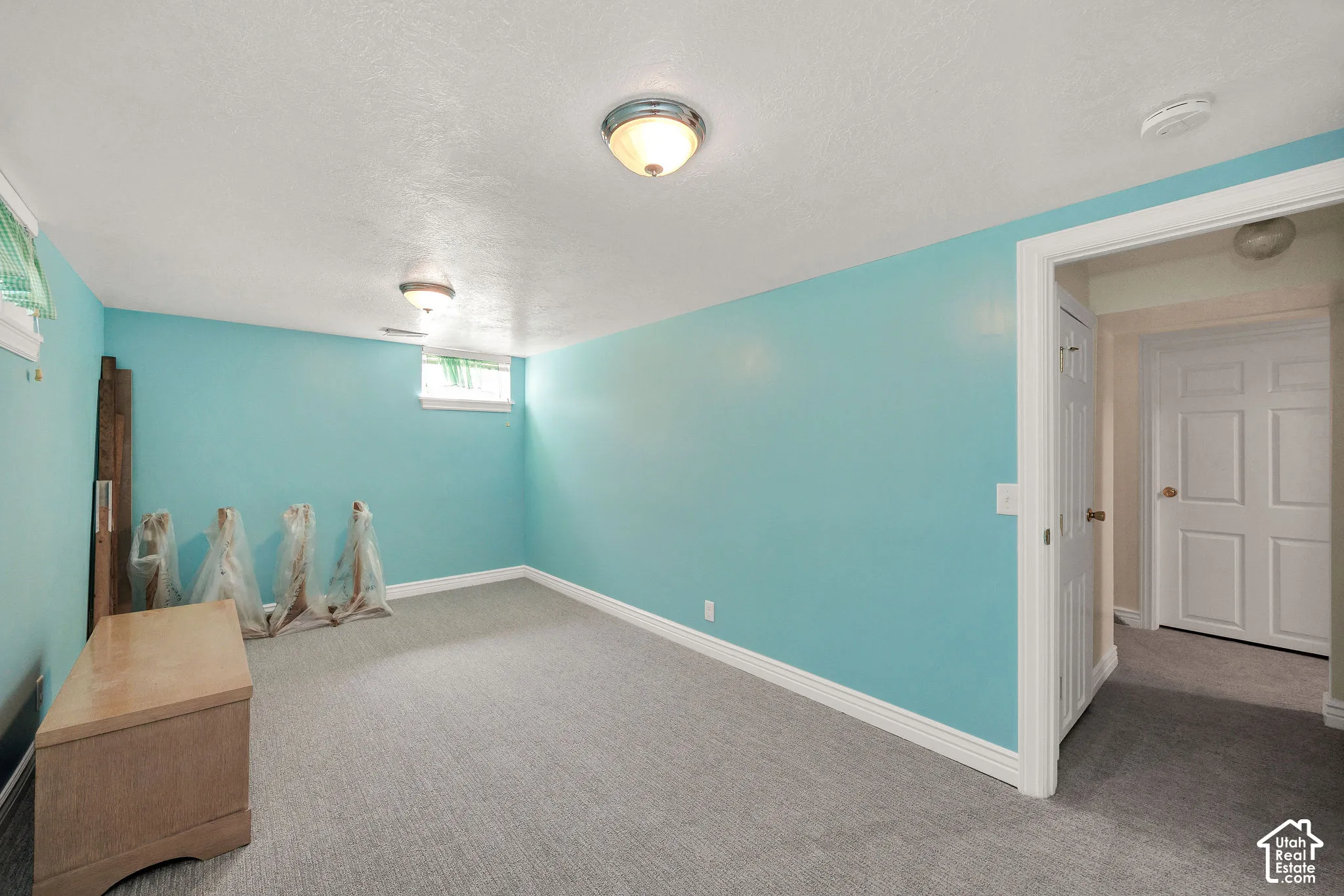 Finished room featuring carpet flooring, painted walls, ceiling-mounted light fixtures, and a white paneled door