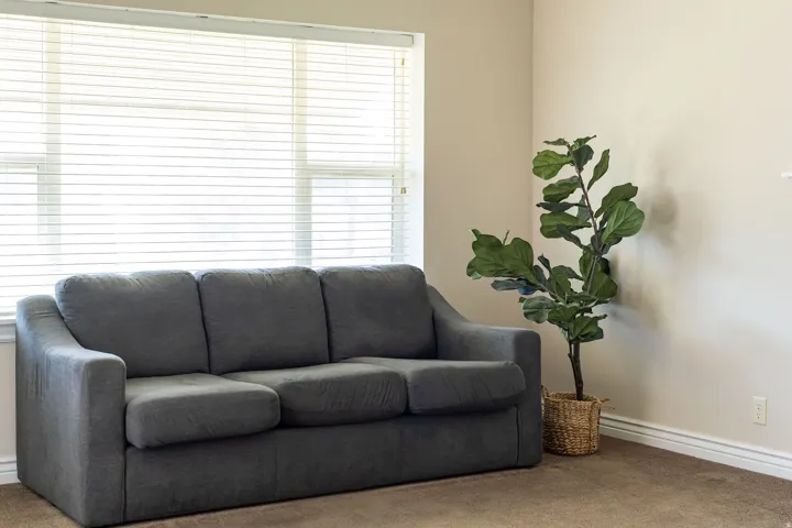 Large window with horizontal blinds