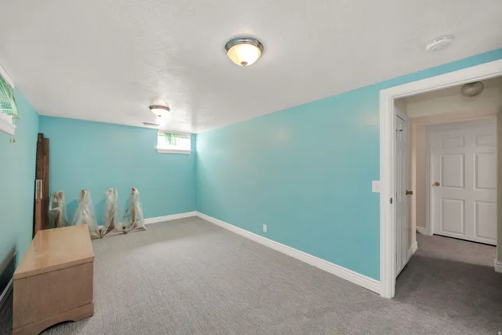 Finished room featuring carpet flooring, painted walls, ceiling-mounted light fixtures, and a white paneled door