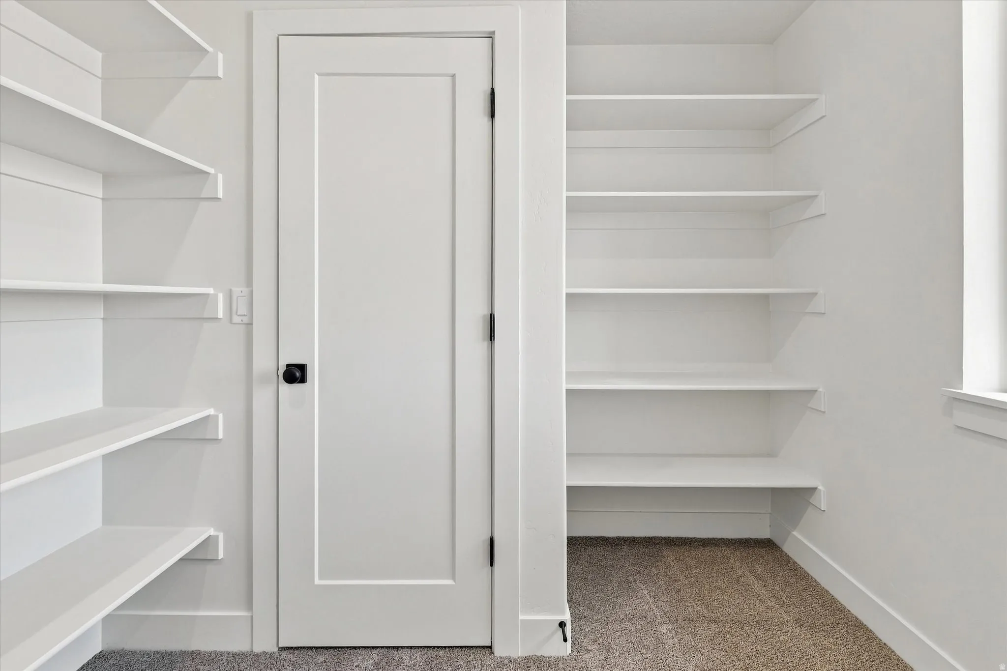Built-in shelving, white trim, white door with black hardware, and gray carpeting