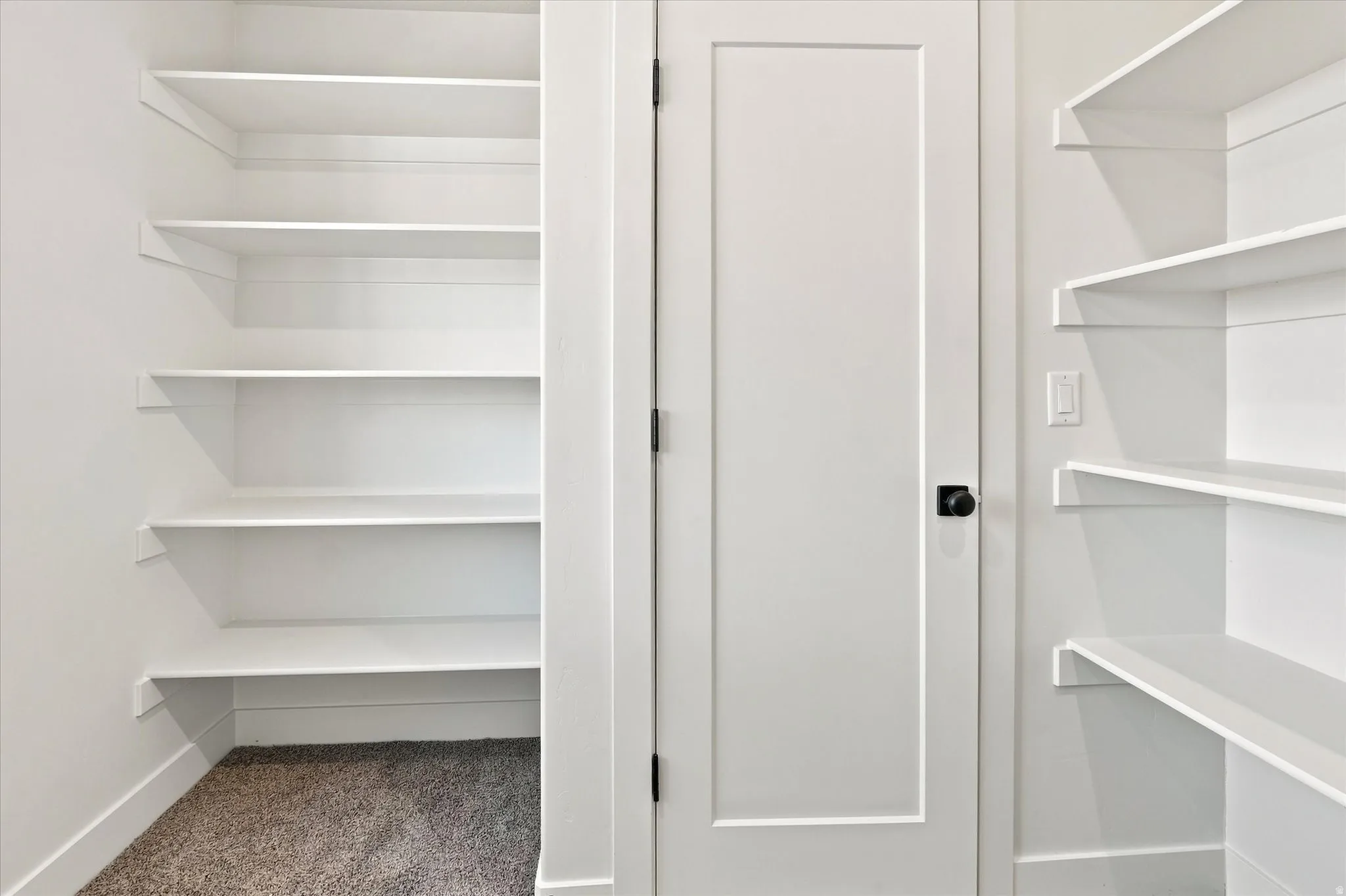 Built-in shelving, white flat-panel door, black hardware, wall-mounted light switch