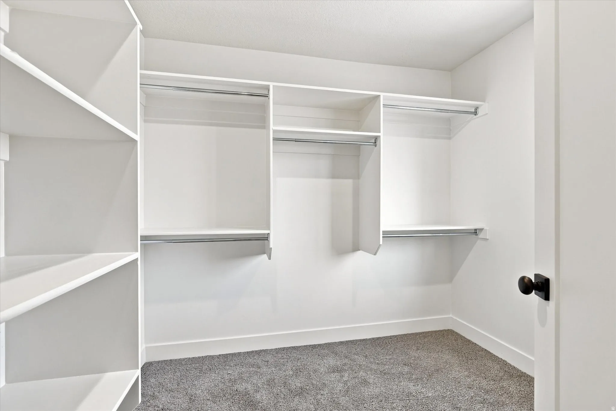 Built-in shelving, hanging rods, and grey carpeting