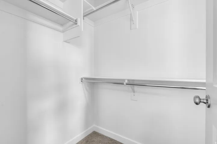 Walk-in closet with white walls, carpet flooring, a chrome hanging rod, and built-in shelving
