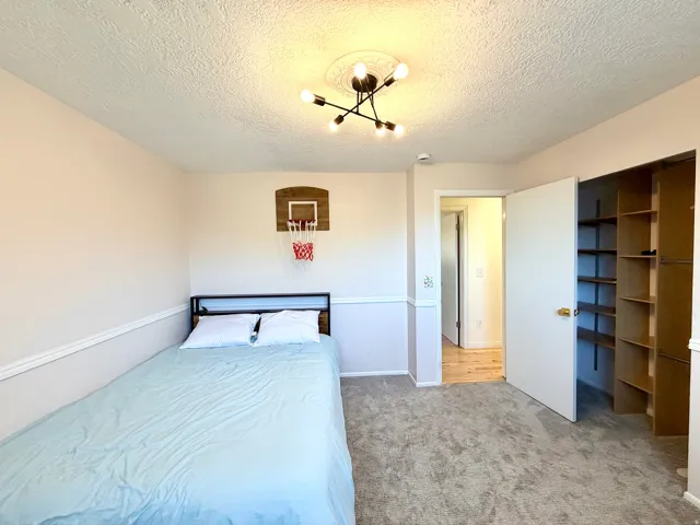 Room featuring carpeted flooring, a built-in closet with shelving, and a modern ceiling light fixture