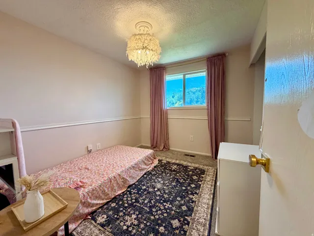 Wall-to-wall carpeting and a ceiling-mounted light fixture with a decorative shade