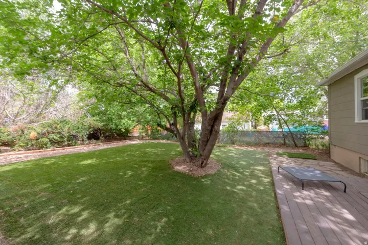 Expansive backyard featuring a manicured lawn, established shade tree, and wood-finish decking