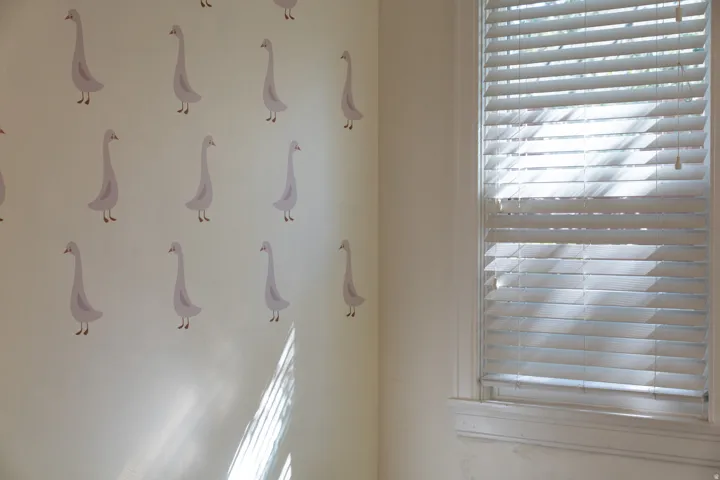 Window with white horizontal blinds and a patterned accent wall