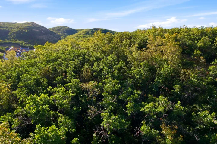 1430 E Wood Oaks Loop, North Salt Lake, Utah 84054