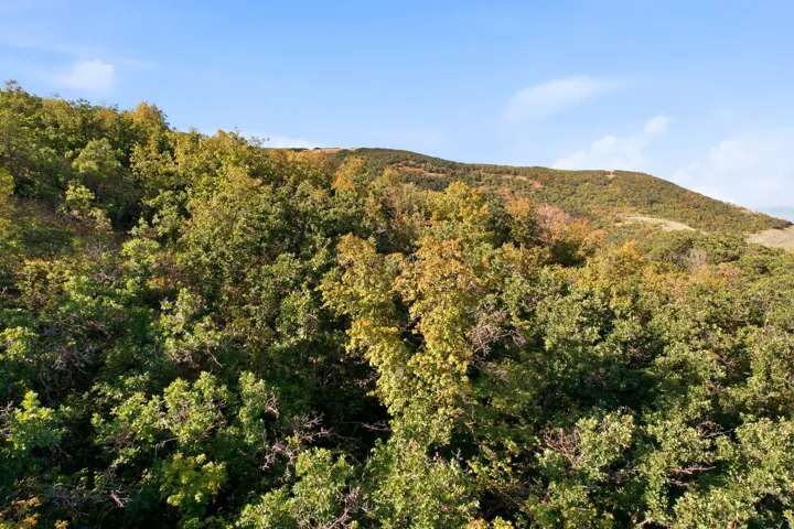 1430 E Wood Oaks Loop, North Salt Lake, Utah 84054