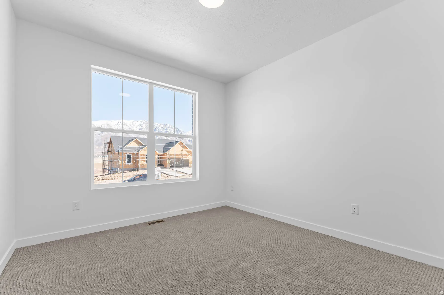 Room featuring a large multi-pane window, neutral-toned carpet, and white walls