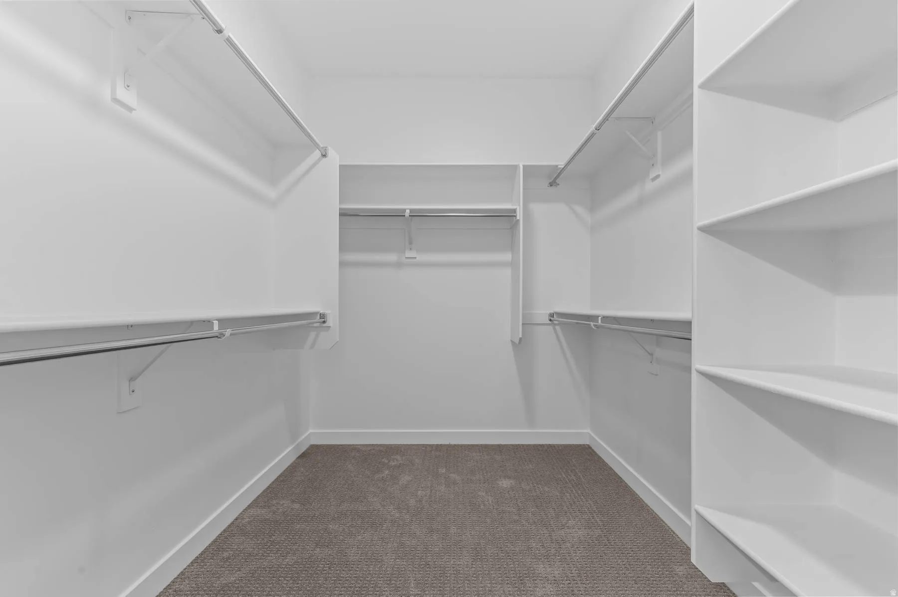 Walk-in closet with carpet flooring, white shelving, and multiple hanging rods