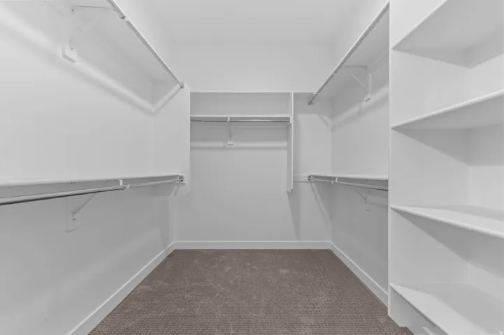 Walk-in closet with carpet flooring, white shelving, and multiple hanging rods