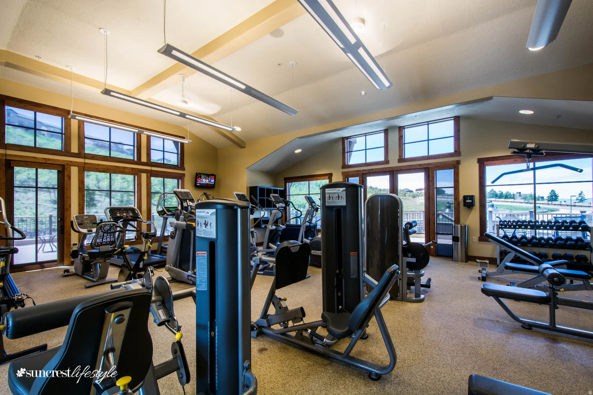 Fitness center featuring a vaulted ceiling with linear pendant lighting, extensive natural light from large windows, and robust exercise equipment