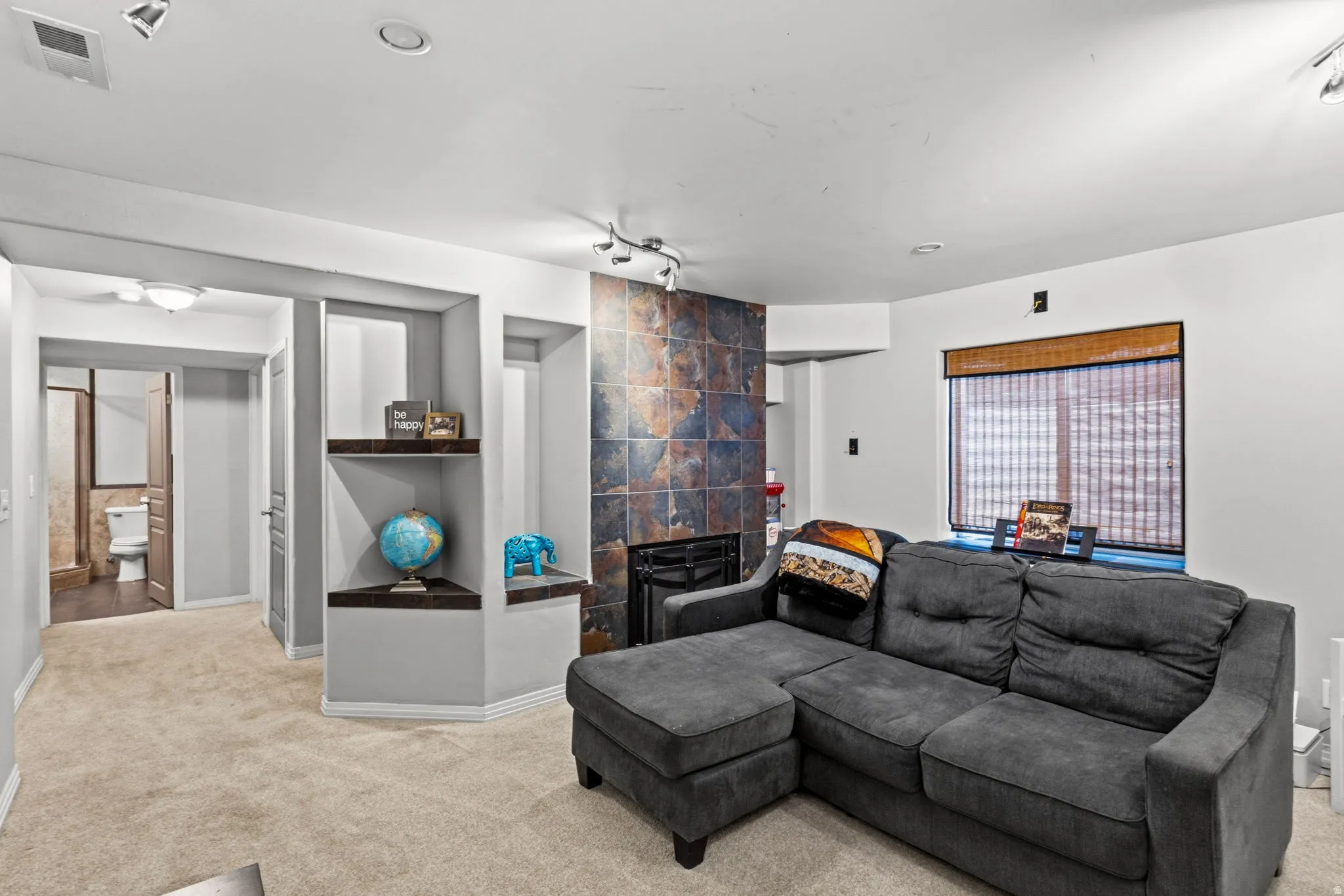 Recessed lighting, track lighting, built-in shelving, carpet flooring, and a window with a woven shade