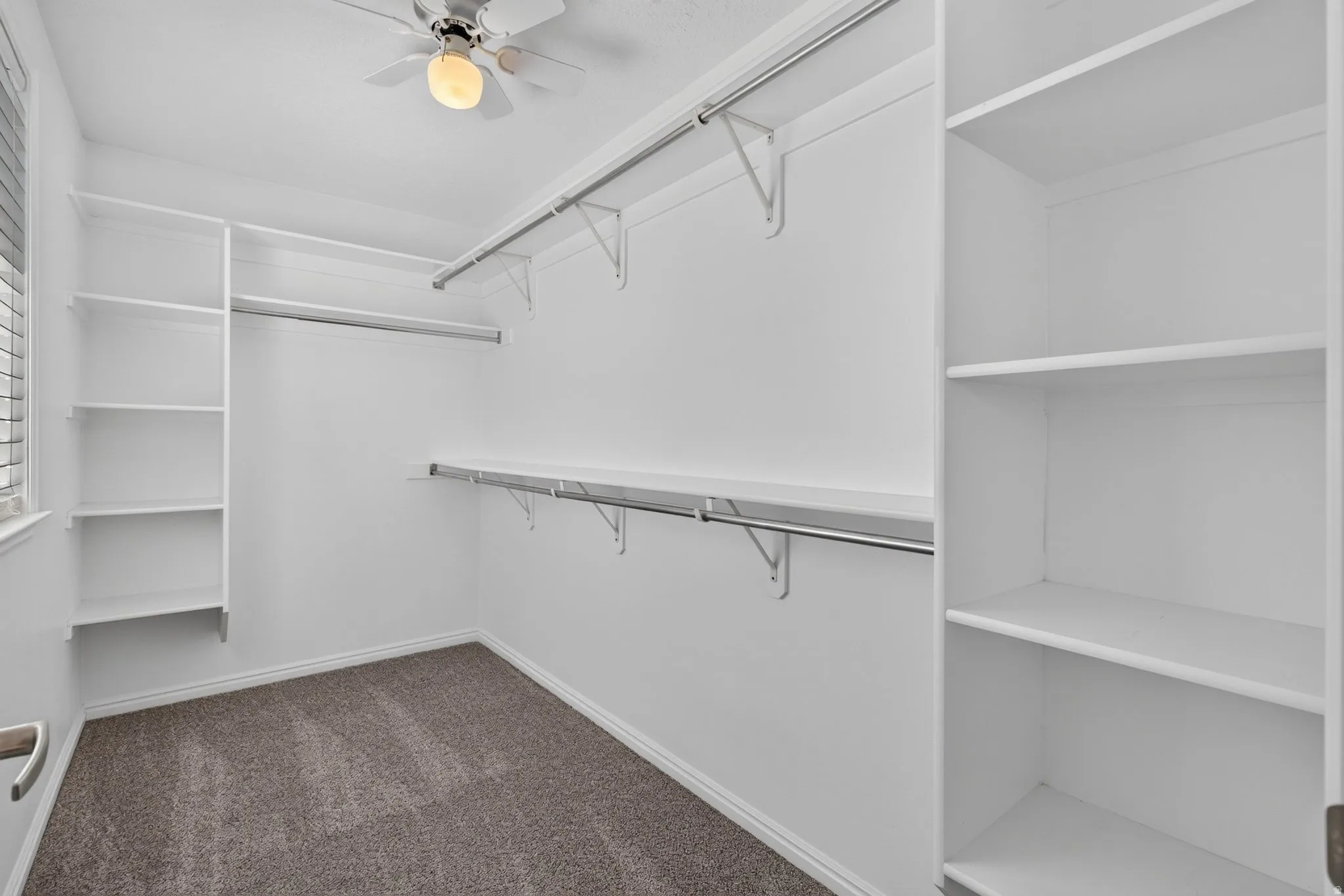Built-in shelving, hanging rods, ceiling fan, and carpeted flooring