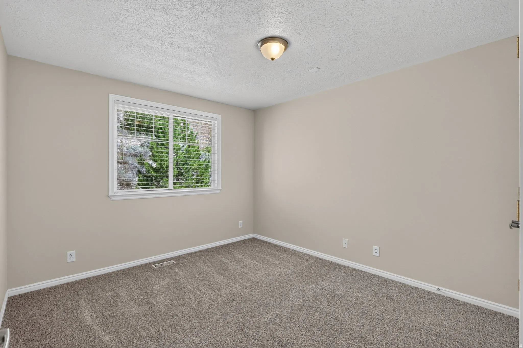 Neutral wall color, wall-to-wall carpeting, window with blinds, ceiling-mounted light fixture, white trim