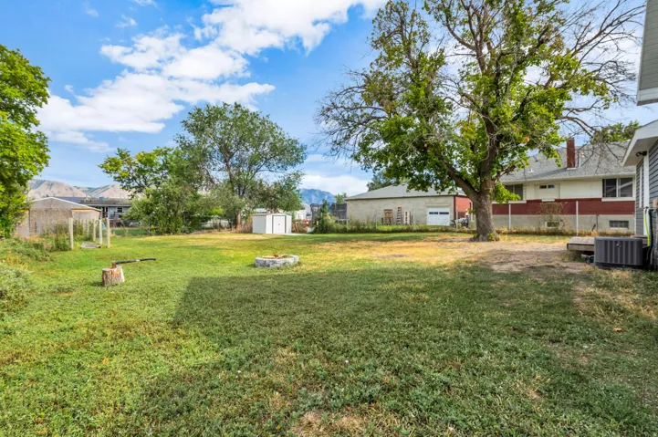 Expansive green space featuring a large mature tree, a built-in fire pit, and two storage sheds