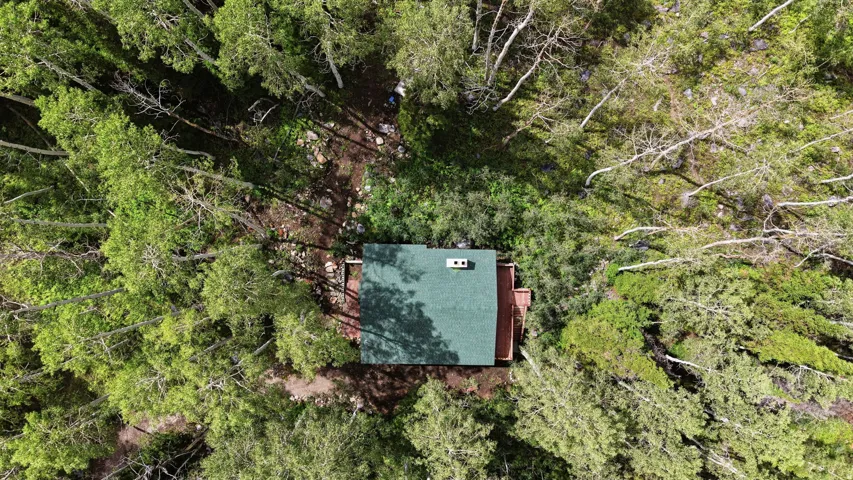 Wood-sided cabin with a green shingle roof, nestled among mature trees