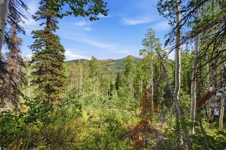 Mature aspens and pines surround cabin