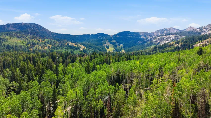 Expansive mountainous terrain with dense evergreen and deciduous forests