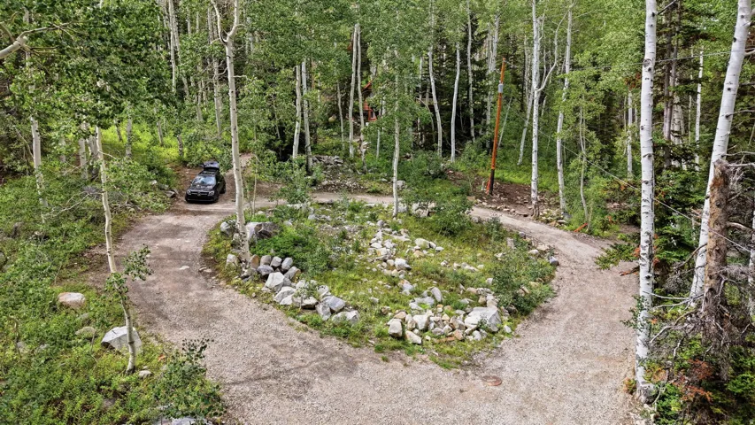 Gravel driveway with a central landscaped island, surrounded by abundant mature trees