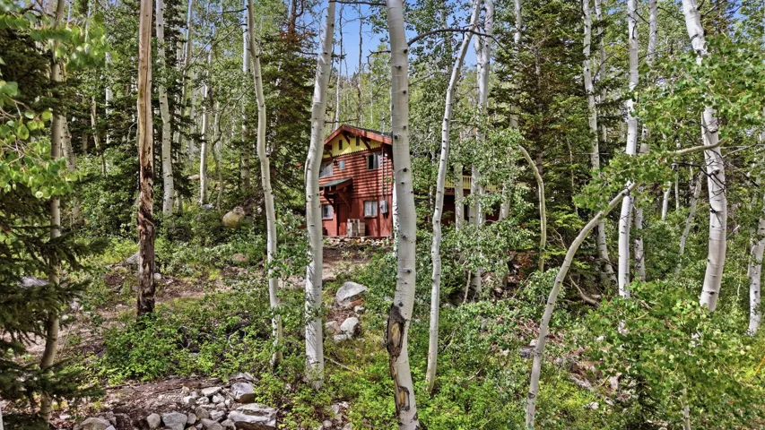 Wood-sided cabin with a gable roof, surrounded by mature trees