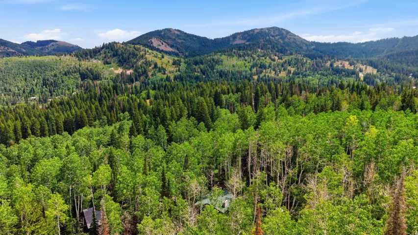 Expansive Big Cottonwood views