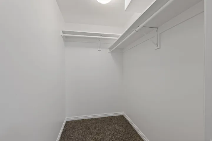 Recessed ceiling light, white walls, built-in shelving, hanging rod, carpet flooring