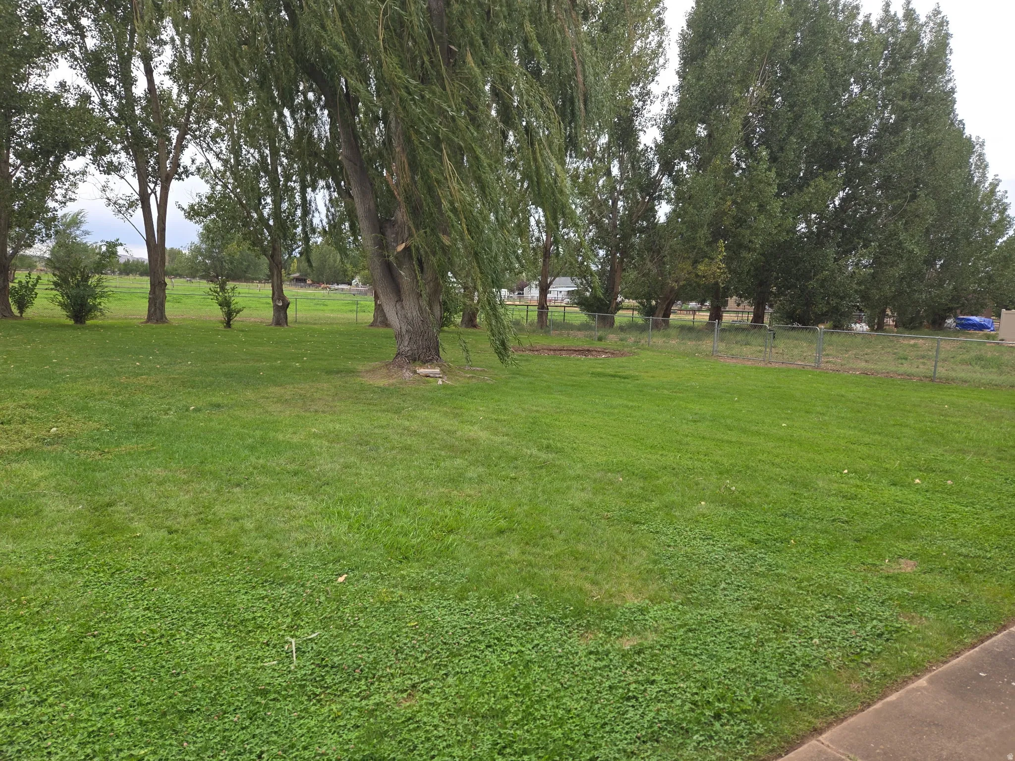 Expansive green lawn with mature trees and a chain-link fence