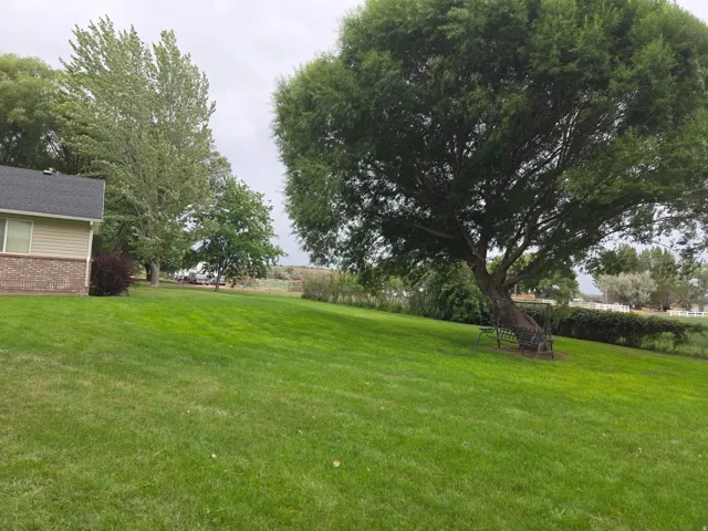 Expansive lawn with mature trees, a substantial shade tree, and a partial exterior featuring brick and siding