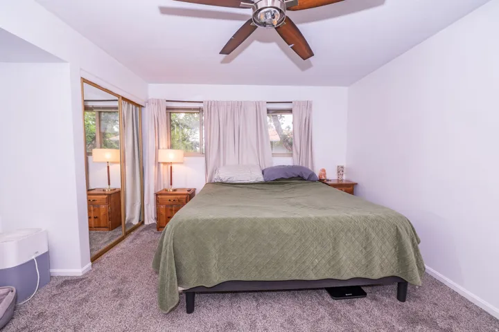 Ceiling fan with wood-finish blades, two windows with window treatments, and wall-to-wall carpeting