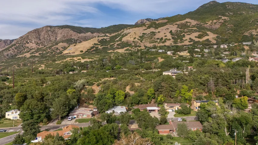 Mountainous terrain with lush, abundant tree coverage