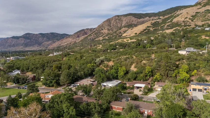 Expansive mountainous backdrop framing a residential area with mature tree coverage
