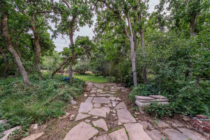 Flagstone pathway surrounded by mature trees and varied foliage
