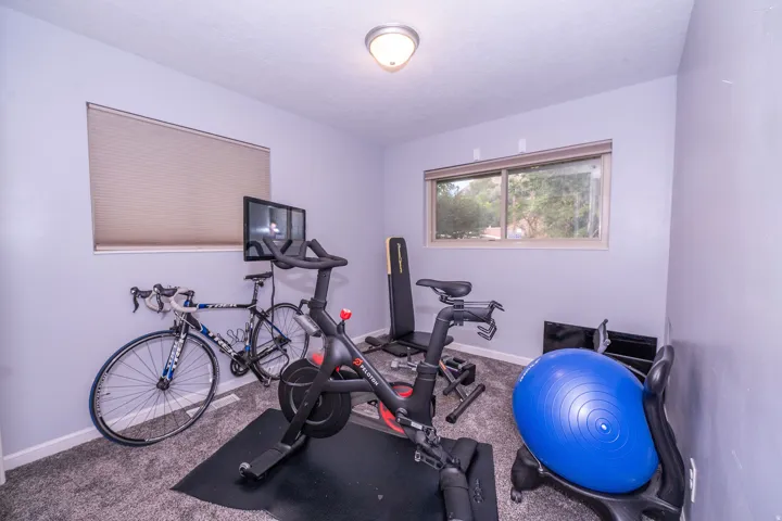 Neutral wall paint, plush carpeting, a single ceiling light fixture, and two windows allowing natural illumination