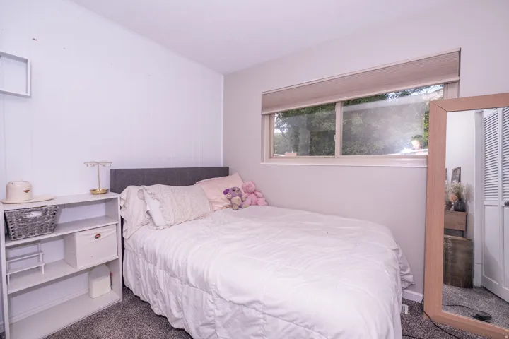 White paneled accent wall, neutral tone window treatment, and carpeted flooring