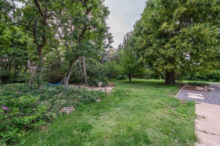 Expansive outdoor area featuring mature trees, a manicured lawn, and natural landscaping with a stone path