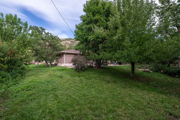 Expansive lawn with mature trees and mountain backdrop
