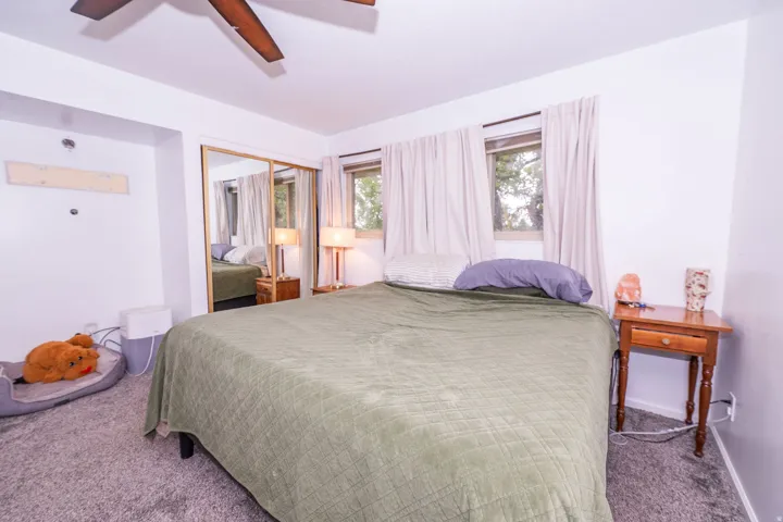 Room featuring a ceiling fan, carpet flooring, windows with drapes, and a mirrored sliding closet door