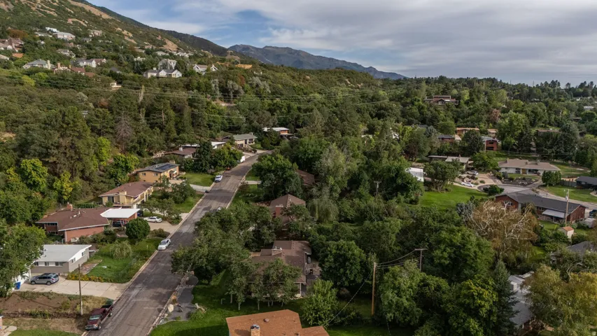Residential street with mature trees and mountain topography