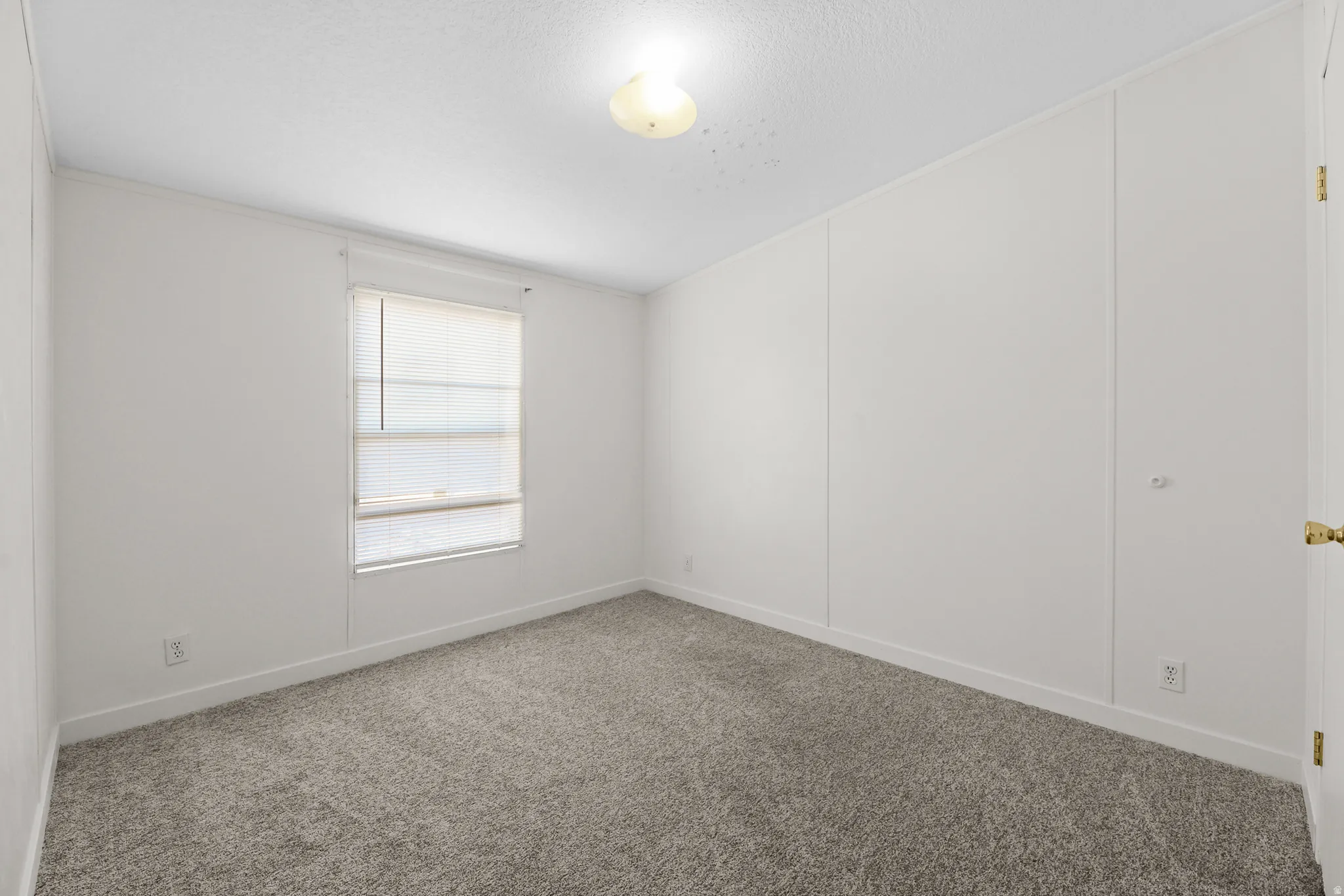 Wall-to-wall carpeting and a single window with blinds