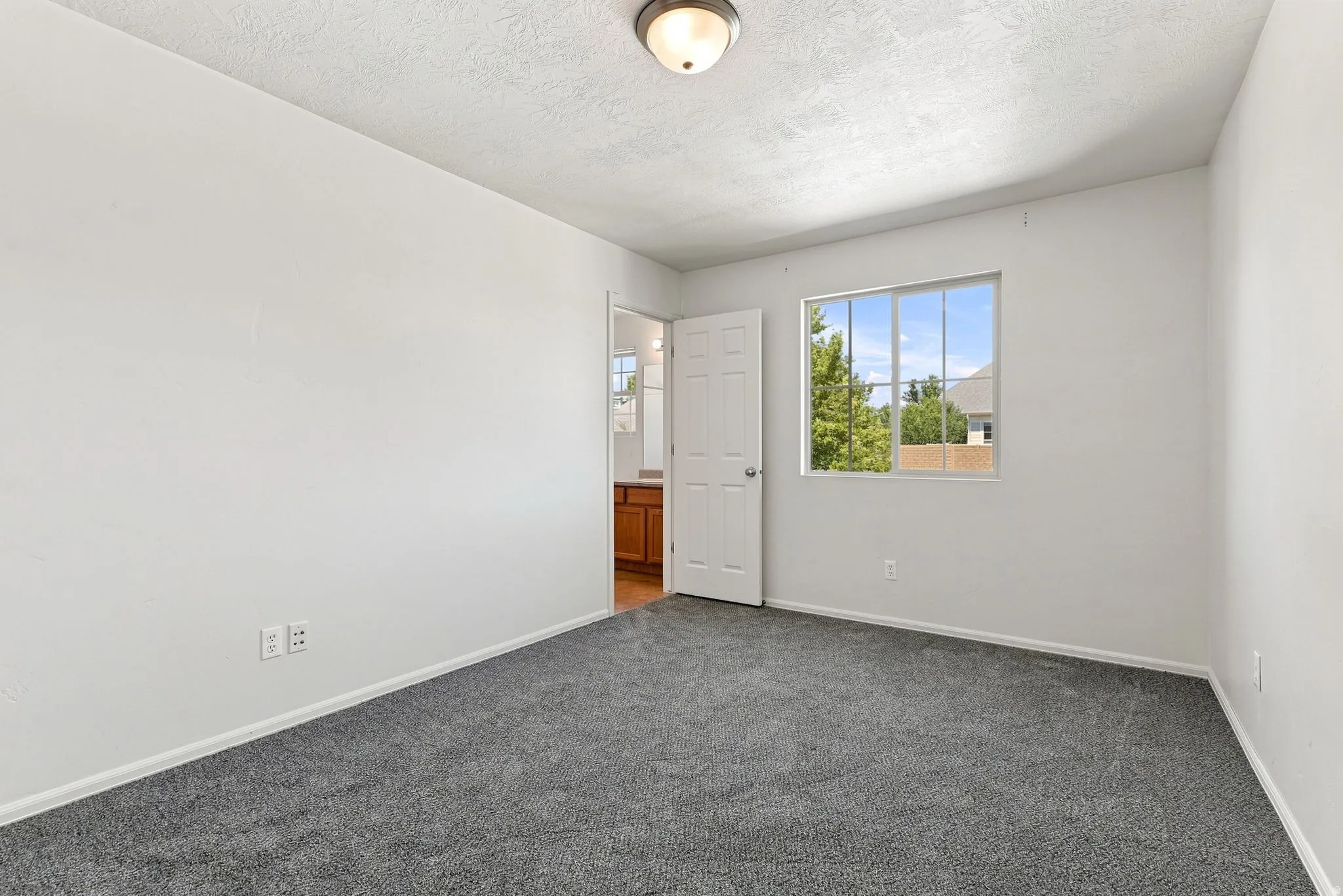 Neutral gray carpet flooring