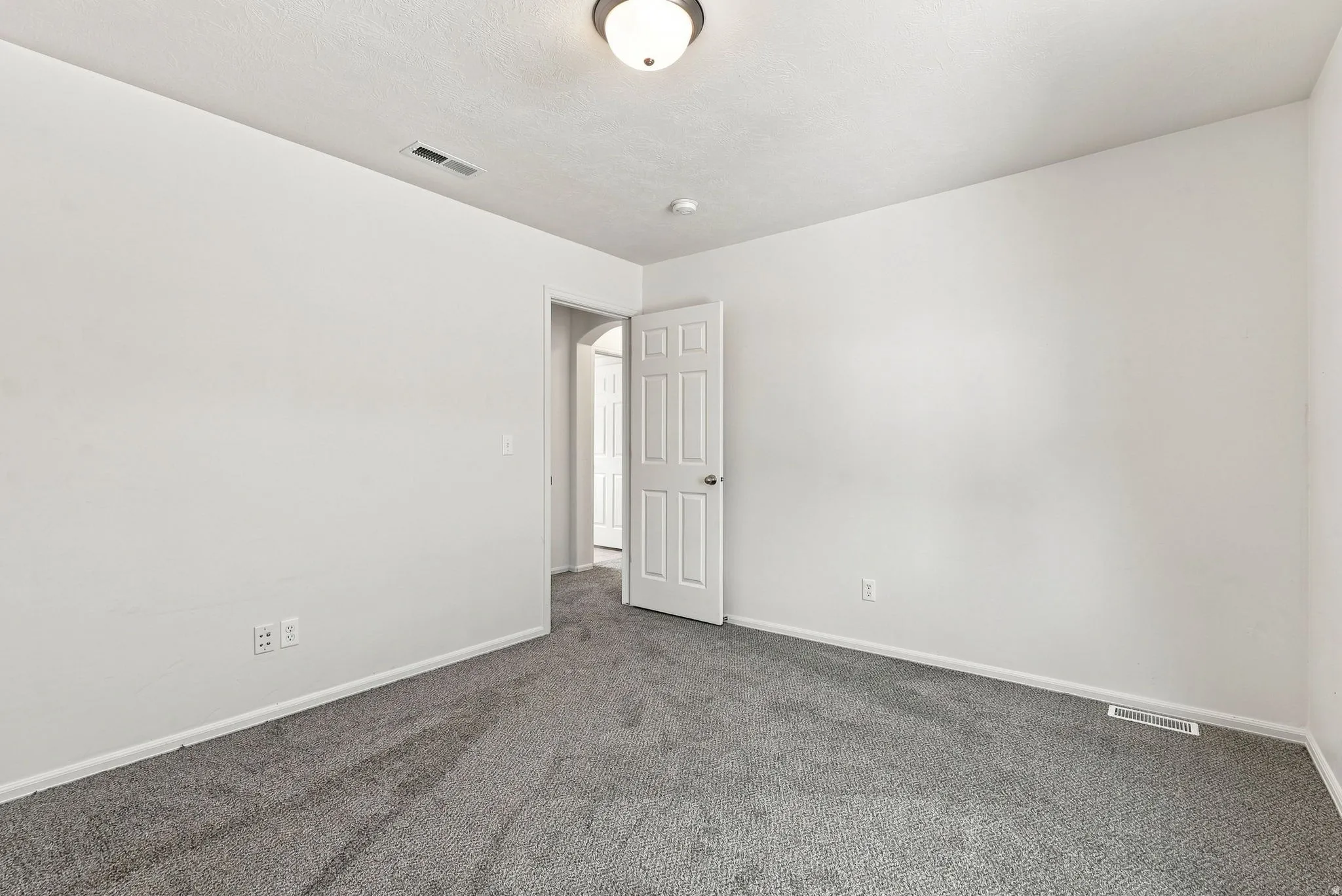 Neutral wall color, wall-to-wall carpeting, overhead lighting fixture, and white interior door