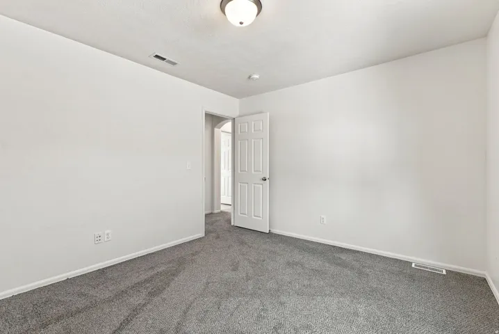 Neutral wall color, wall-to-wall carpeting, overhead lighting fixture, and white interior door