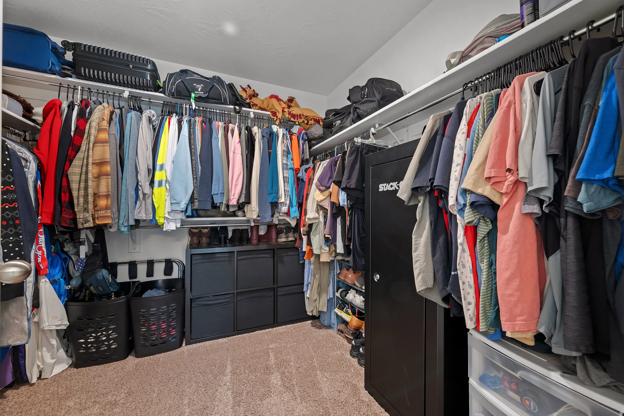 Walk-in closet featuring carpet flooring, built-in shelving, and clothes hanging rods