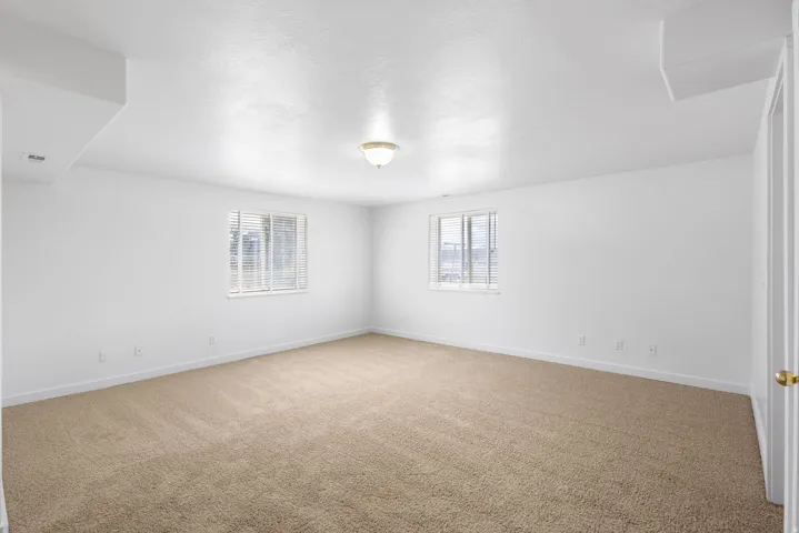 Carpeted room featuring white walls, two windows with blinds, a ceiling-mounted light fixture, and a solid-core door
