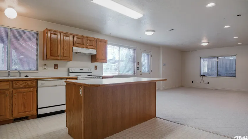 Basement Apartment Kitchen