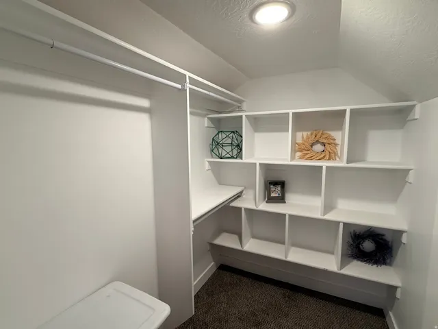 Built-in shelving, hanging rod, recessed lighting, and carpet flooring