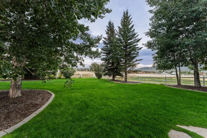 Expansive green lawn with mature trees and a concrete-edged mulched planting bed